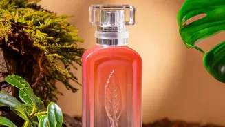 Why Fragrance Has Become Part Of India's Wider Festive Gifting Conversation