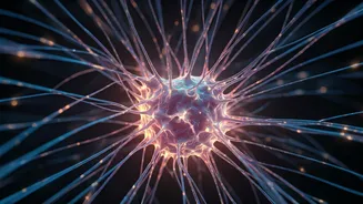 Unveiling Alzheimer's: Surprising Early Signs Before Memory Loss Appears