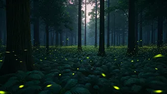 Chasing Fireflies In Western Ghats Is Ultimate Romantic Plan