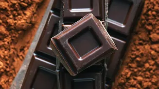 Single-Origin Cocoa From South India Elevates Luxury Chocolate Gifting For Gen Z Consumers