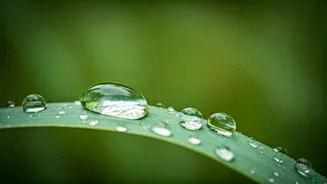 Simple Monsoon Skincare Habits That Actually Help
