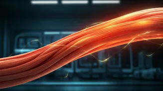 Fasted Workouts: Unpacking the Truth About Exercising Before You Eat