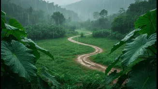 Rainy Season Holidays Encourage Deeper Connections With Local Communities