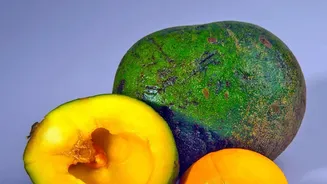 Mango Vs Papaya Nutrition In Context: Portion Size Matters In Fruit Comparisons