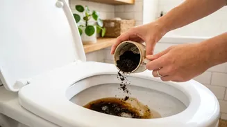 Café usado no vaso sanitário: entenda os possíveis benefícios desse truque caseiro