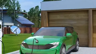 How Scientists Are Making EV Batteries Non Flammable Using Plant Agricultural Waste