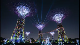 Marina Bay’s Supertree Grove Turns Urban Horticulture Into a Night-Time Spectacle