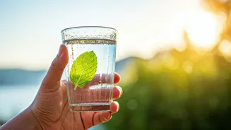 Beat the Summer Heat: Sadhguru's Remedies and Expert Insights on Body Temperature