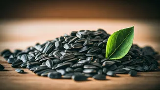 Unlock Your Health: 5 Astonishing Benefits of Sunflower Seeds