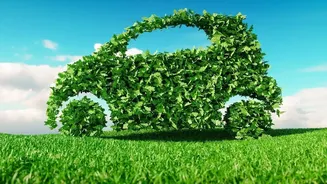 How Agricultural Waste Helps Scientists Produce Safer Non Flammable Plant Based EV Batteries