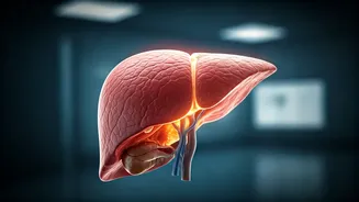 Honeymoon Horror: Bride's Joyful Trip to Japan Plunges into Medical Crisis