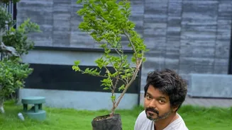 Small Outdoor Spaces Are Getting Greener As Urban Indians Embrace Seasonal Gardening
