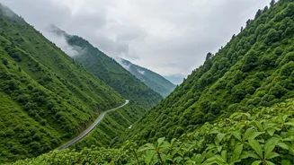 North India's Cool Escapes Are Packed This Monsoon