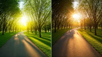 Morning vs. Evening Walks: Unveiling the Best for Weight Loss