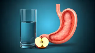 Don't Drink Water After Fruits? Unveiling the Digestive Effects