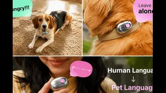 Chinese Startup Launches Pet Translator With '95% Accuracy', Internet Says ‘AI Barely Understands Humans’