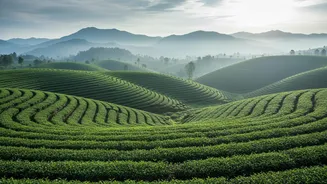 Weekend Travel Ideas That Shine After India's Latest Spell Of Monsoon Rain
