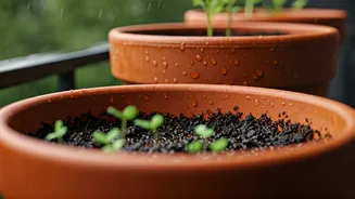 Balcony Gardens Need A Rainy Drainage Check
