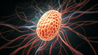 Hormone Harmony & Weight: A Women's Health Guide