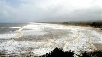 IMD Issues Rain Alerts for Odisha, Bihar, West Bengal, Tamil Nadu; Cyclone Arnab Develops