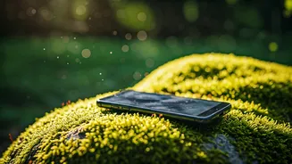 Disconnect Today, Recharge Tomorrow