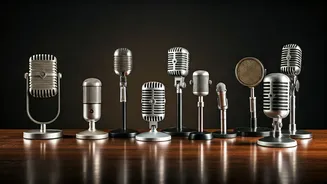 Unveiling the World of Celebrity Bios