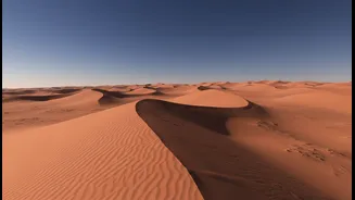 Wind On Mars Can Build And Shift Dunes Despite The Thin Atmosphere