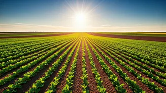 Expanding Earth's Arable Land: The Future of Food