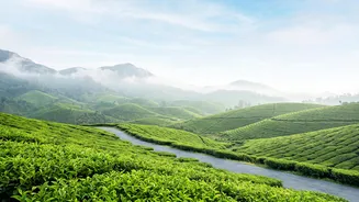 How Fewer Crowds And Local Culture Are Driving Destination Choices Among Indians
