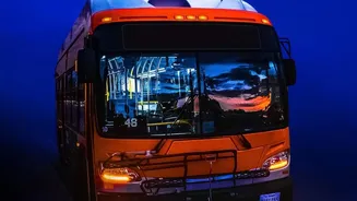 Why Vietnam Night Buses And Cheap Hostels Make Budget Travel Effortless