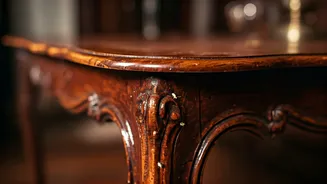 Termite Tactics: 5 Proven Ways to Safeguard Your Wooden Treasures