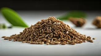 Beyond the Spice Rack: 5 Surprising Uses for Cumin Seeds