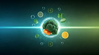 Beyond the Ranking: Unpacking the Healthiest Nations' Lifestyle and Diet Secrets