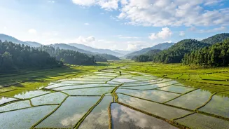 Plan a budget Ziro music workation