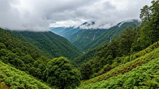 Escape Delhi's Showers With These Scenic Retreats