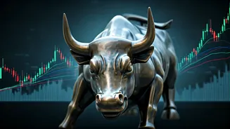 Decoding Market Trends: Where Bulls Are Betting