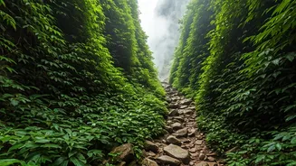 Conquer Tamil Nadu's Toughest Treks: 6 Epic Challenges for Thrill-Seekers