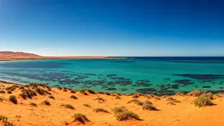 Australia's Forgotten Reef: A Desert-to-Sea Journey