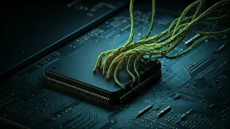 Notepad++ Compromised: Chinese Hackers Exploit Software Updates for Months