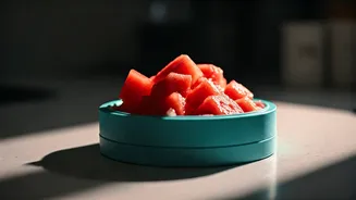Fill Dog Puzzle Toys With Blended Watermelon For Refreshment