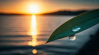 Beat Burnout: 5 Proven Strategies to Reclaim Your Energy and Joy