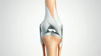 5 Workouts: Joint-Friendly Exercise Guide