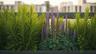 Why Native Species Thrive Better On Urban Terraces
