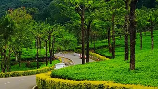 Assam's Scenic Rainy Season Is Inspiring More Domestic Travel
