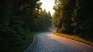 Why A Gentle Evening Walk Beats The Sofa
