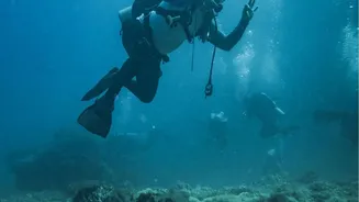 How Marine Scientists Are Identifying Heat Resistant Coral Species To Protect Coastal Ecosystems