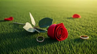 Valentine's Week 2026: A Journey Through Love, Gifts, and Special Days