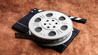 Top Global Record Breakers: The Highest-Grossing Hollywood Film Masterpieces Loved Worldwide Across Decades
