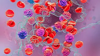 World Thalassaemia Day 2026: Ayurvedic Tips For Managing Blood Disorders