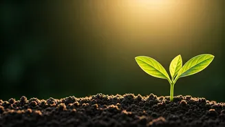 Related Stories banner